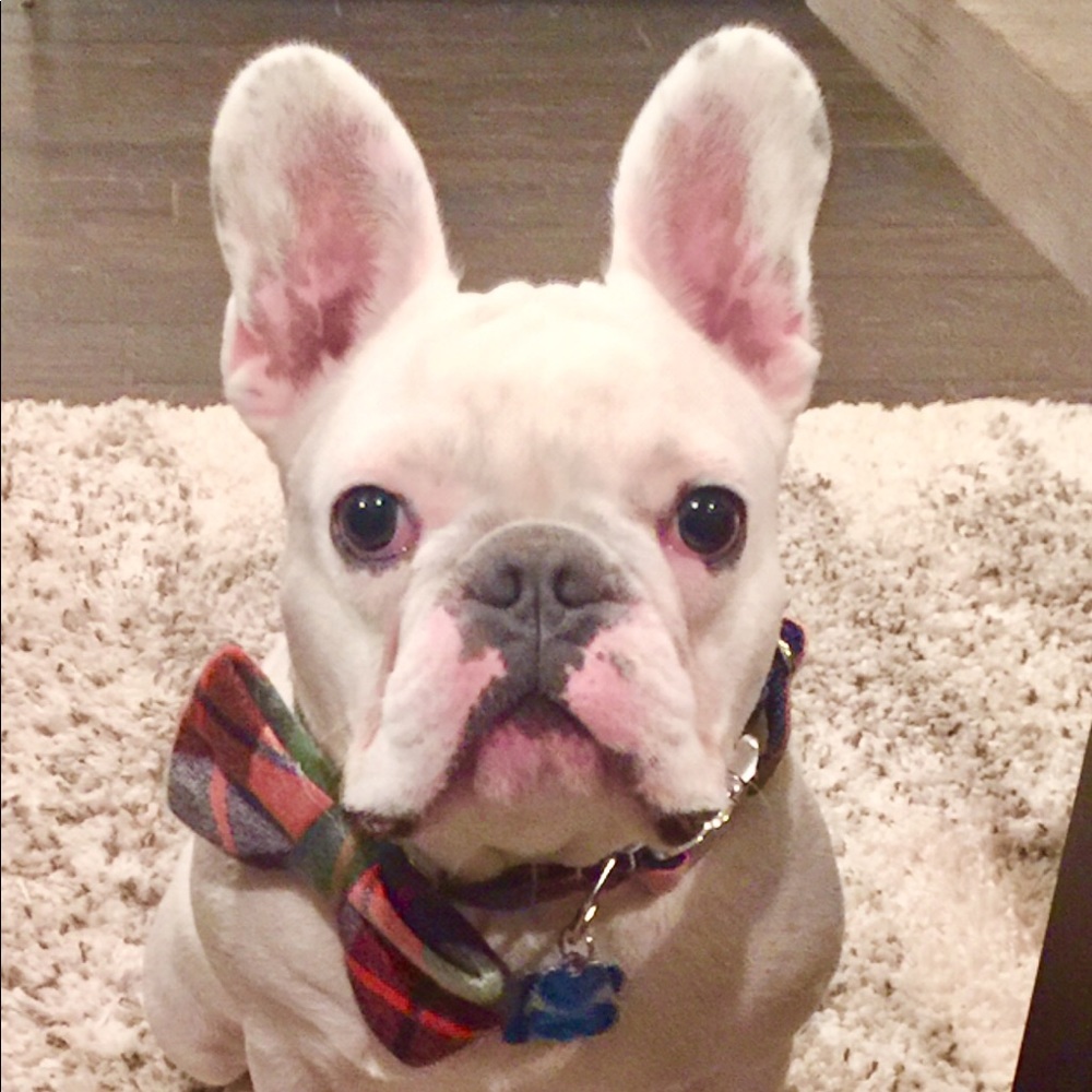 Meet your Posher, Shannon